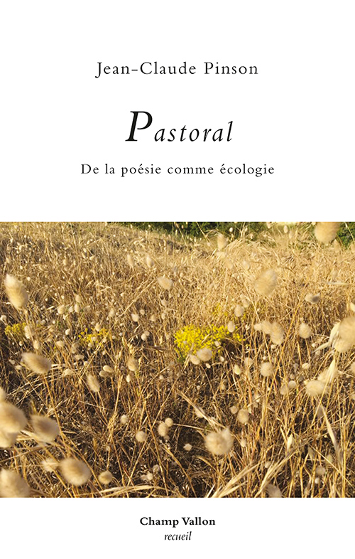 Jean-Claude Pinson Pastoral