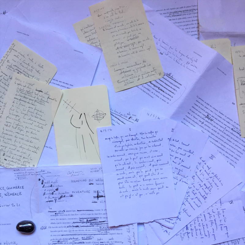 IMG_8009