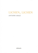 Lichen_big