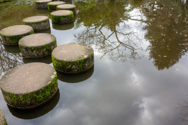 Jardin botanique de nantes