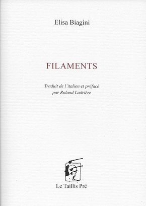 Elisa Biagini  filaments