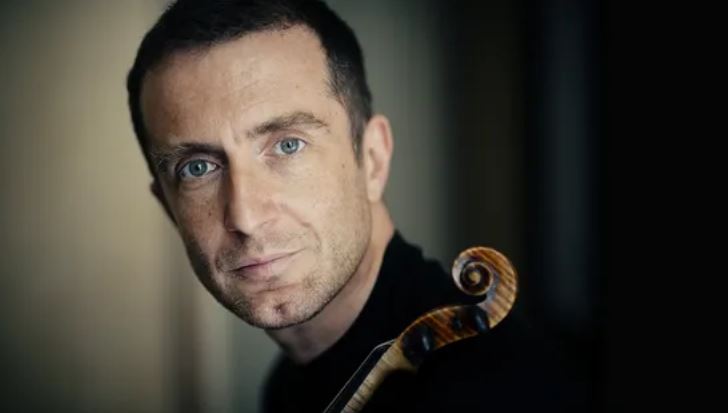 Tedi papavrami