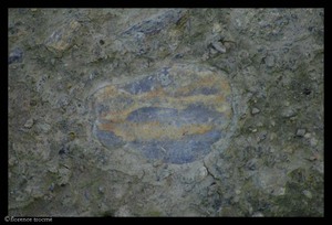 15_pierre_bleue_flotoir 15_pierre_bleue_flotoir