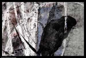 22_deux_icones