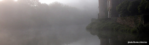Brume_copie