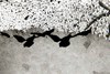Cul_de_lampe_calligraphie