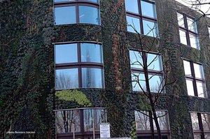 Mur_vegetal_branly16_blog_copie