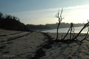 020206_etienne 020206_etienne