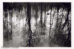 02_loizeau_1