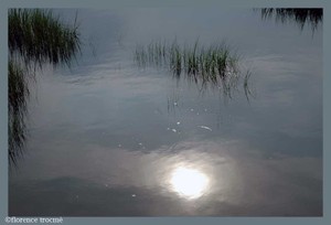 04_giraudon 04_giraudon