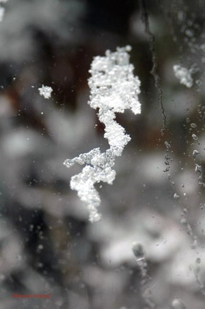 071205_tardieu