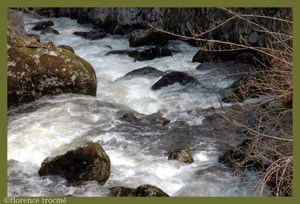07_collot 07_collot