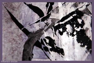 10_cixous 10_cixous