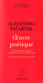110106_pizarnik