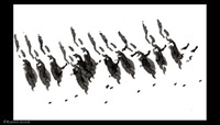 11_marie_etienne 11_marie_etienne