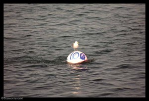 14_roubaud_2 14_roubaud_2