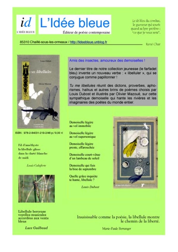 Newsletter_libellule_copie