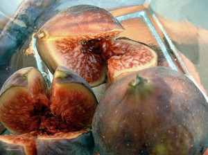 201105_figues_pour_salah_stti 201105_figues_pour_salah_stti