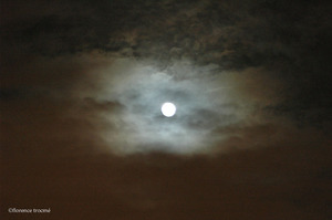 231105_mistral