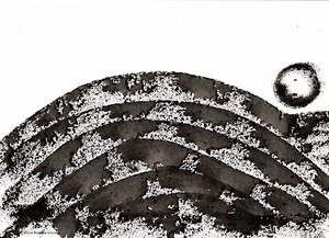 250205_encre_dupin_1