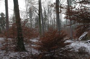 251205_kaiteris