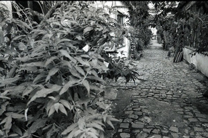 27_le_scanff