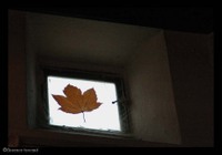 31_tsvetaieva