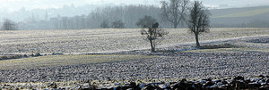 Alsace_neige_terre_copie