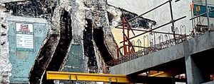 Chafaudages_pour_butor_copie